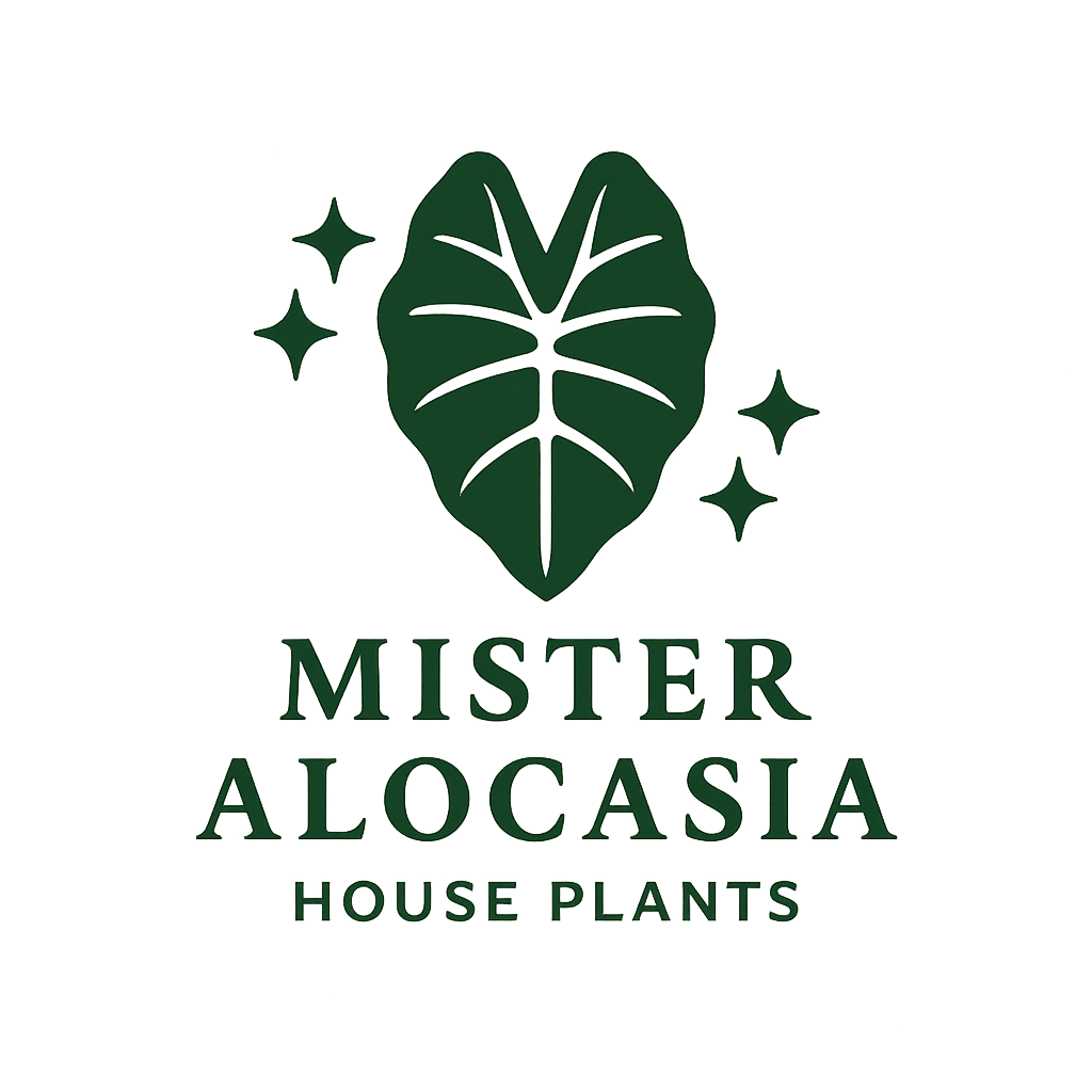 misteralocasia.com